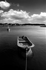 dailyPhoto19